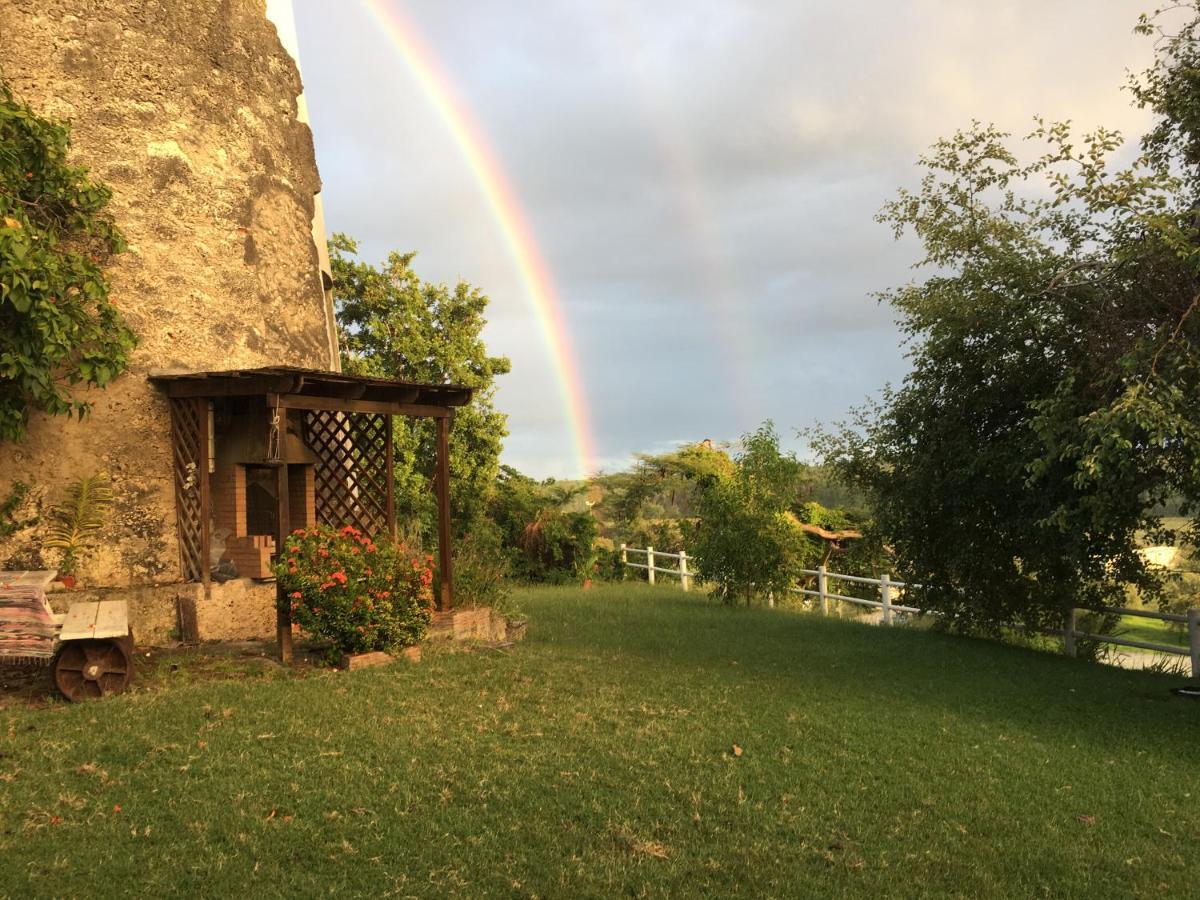 Villa Du Moulin De Saint Felix Le Gosier  Buitenkant foto